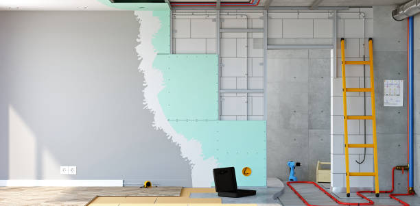 Best Mold Damage Restoration  in South Toms River, NJ