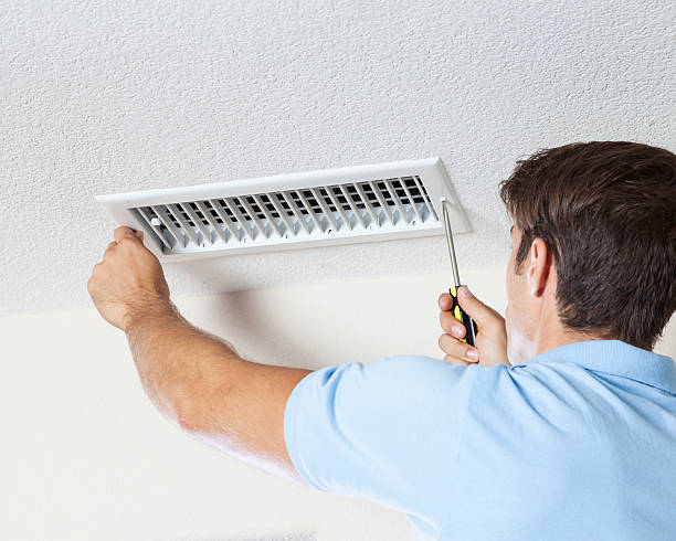 Mold Odor Removal Services in South Toms River, NJ